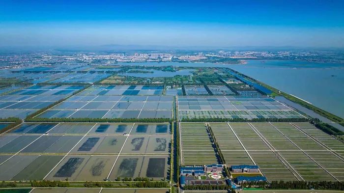 航拍高淳固城湖螃蟹核心區(qū)。高淳區(qū)融媒體中心供圖